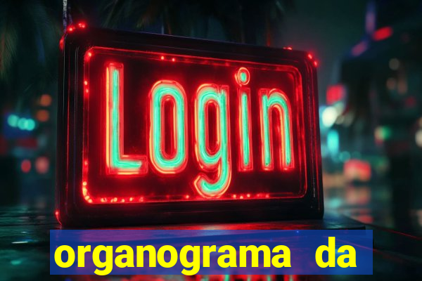 organograma da cacau show